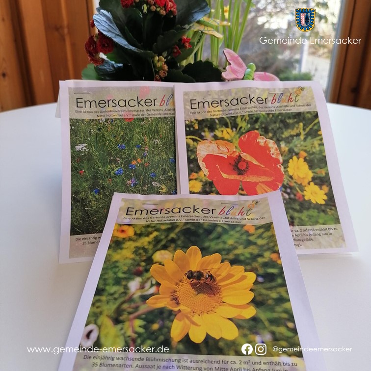 Blumensamenpäckchen „Emersacker blüht“ im Rathaus erhältlich